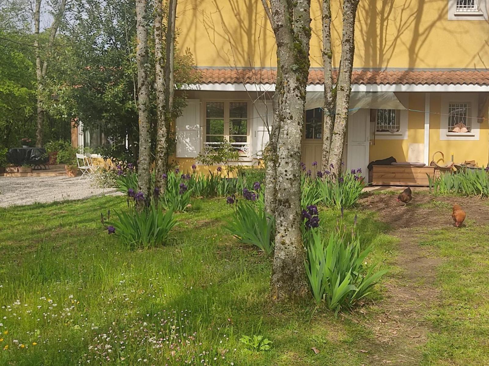 La Frenaie Bed & Breakfast Saint-Cyr-sur-le-Rhone Bagian luar foto
