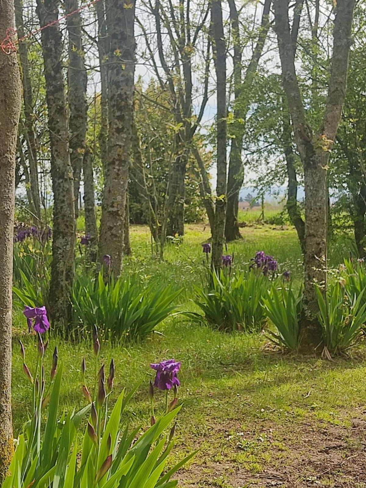 La Frenaie Bed & Breakfast Saint-Cyr-sur-le-Rhone Bagian luar foto